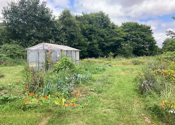 Longere En Bordure De Bois Maisonnay